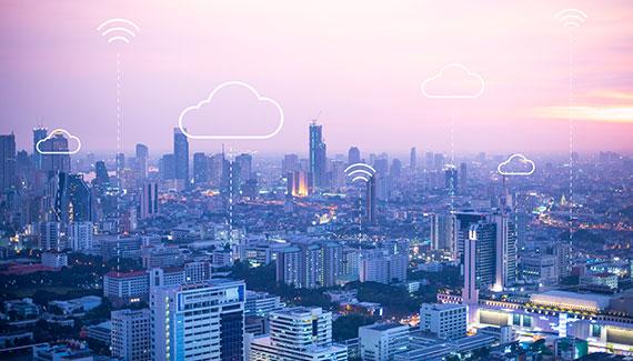 Hosting and Domain Services