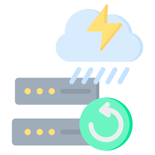 Dependable disaster recovery to maintain your company's resilience in the face of adversity!