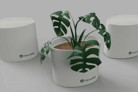 Codelattice to launch self watering smart pot for indoors