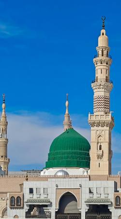 zoho partner in Saudi Arabia-codelattice