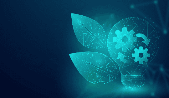 Codelattice partners with SankalpTaru