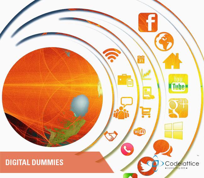 A Startup Guide To Digital Dummies : An Overview