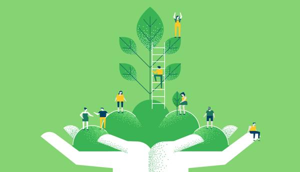 Secrets For Eco-Friendly Sustainable Travel
