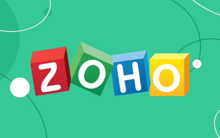 Why You Need a Zoho Partner in Mumbai